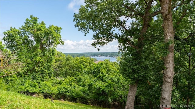 265 Costa Del Sol Dr Unit 145, Lake Ozark, MO 65049 - photo 3