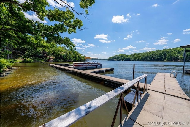 403 Treetop Dr Unit 31, Lake Ozark, MO 65049 - photo 41