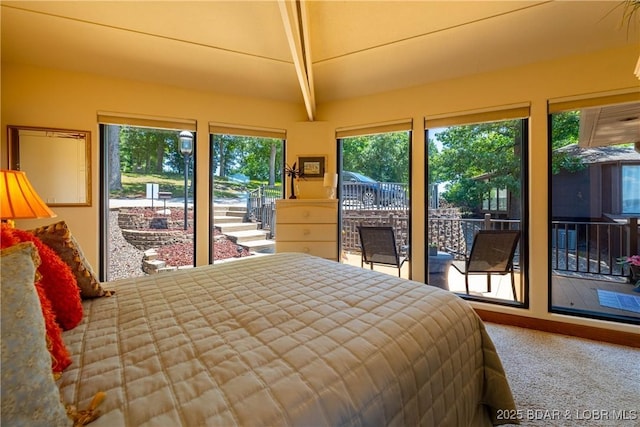 403 Treetop Dr Unit 31, Lake Ozark, MO 65049 - photo 24