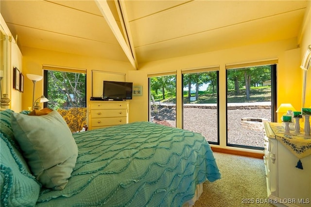 403 Treetop Dr Unit 31, Lake Ozark, MO 65049 - photo 27