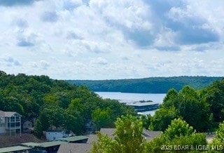 5210 Big Ship, Osage Beach, MO 65065 - photo 2