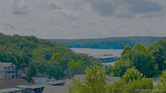 5210 Big Ship, Osage Beach, MO 65065 - photo 50