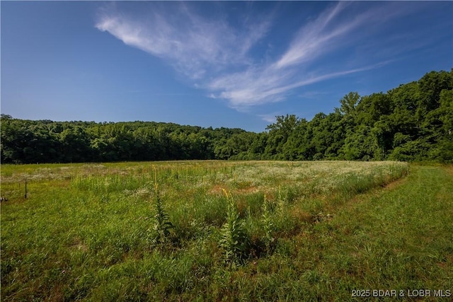 776 Big Buffalo Rd, Stover, MO 65078 - photo 43
