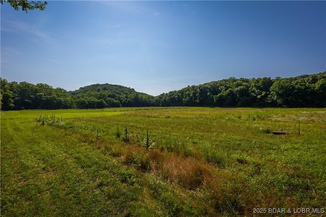 776 Big Buffalo Rd, Stover, MO 65078 - photo 44