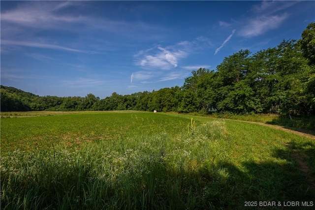 776 Big Buffalo Rd, Stover, MO 65078 - photo 45