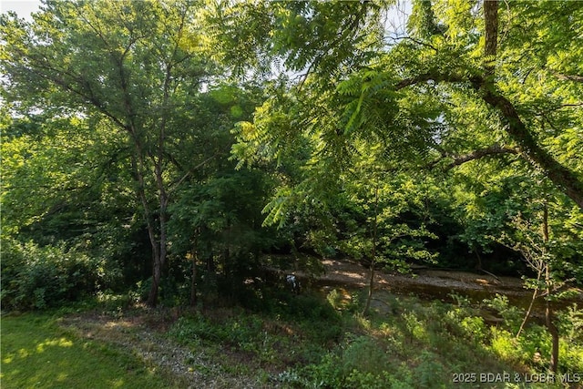 776 Big Buffalo Rd, Stover, MO 65078 - photo 42