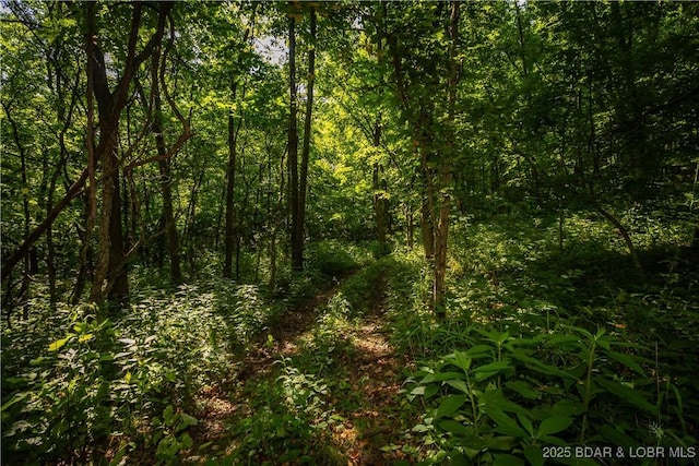 Beechnut, Stover, MO 65078
