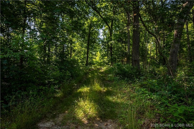 Beechnut, Stover, MO 65078