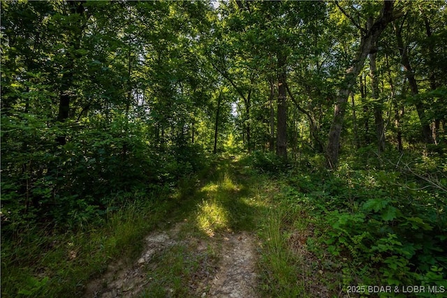 Beechnut, Stover, MO 65078