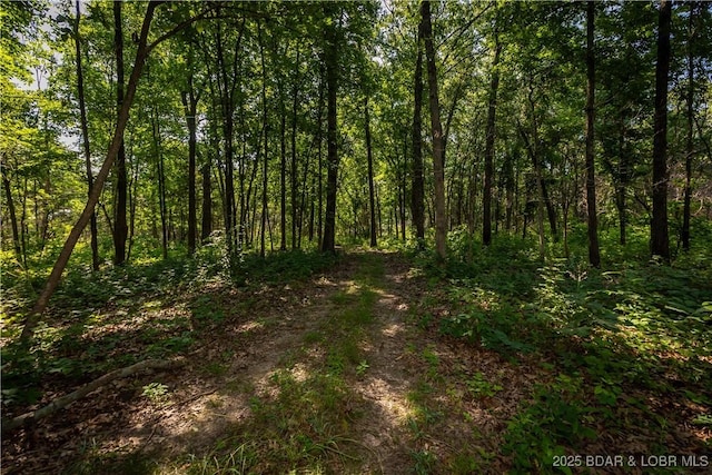 Beechnut, Stover, MO 65078