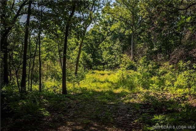 Beechnut, Stover, MO 65078