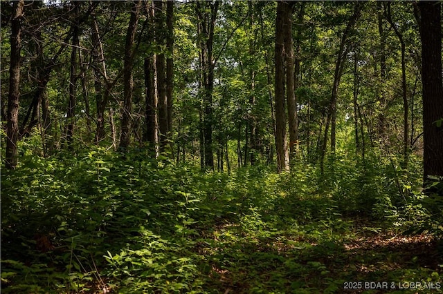 Beechnut, Stover, MO 65078