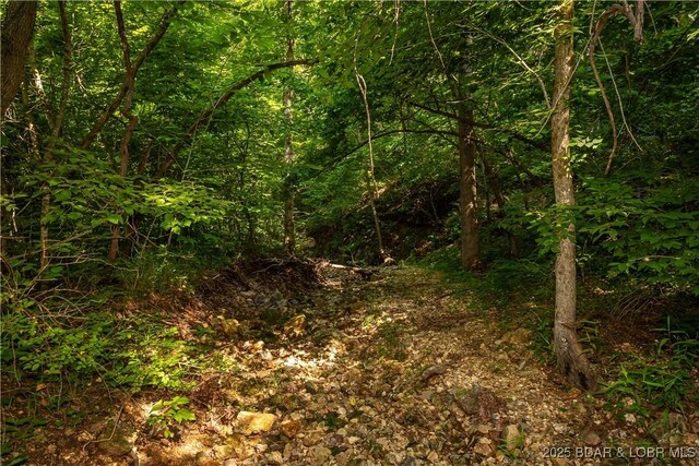Beechnut, Stover, MO 65078