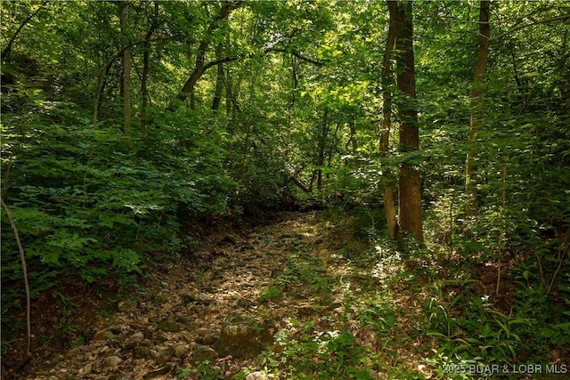 Beechnut, Stover, MO 65078