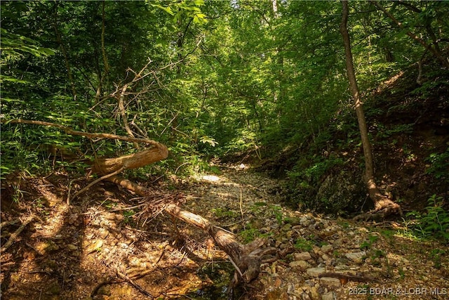 Beechnut, Stover, MO 65078