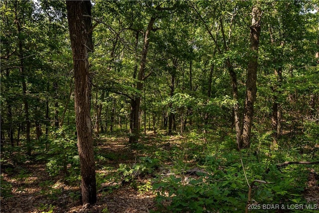Beechnut, Stover, MO 65078