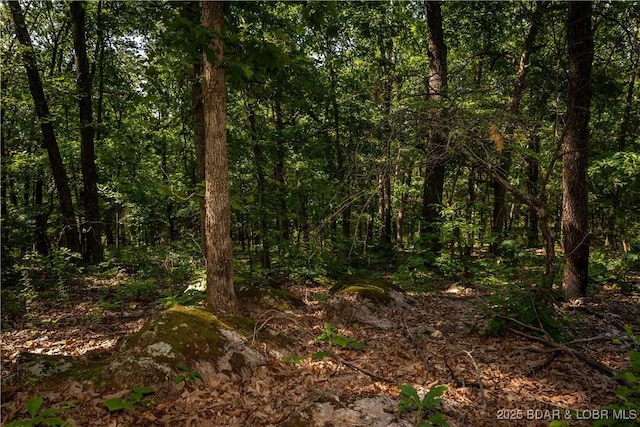 Beechnut, Stover, MO 65078