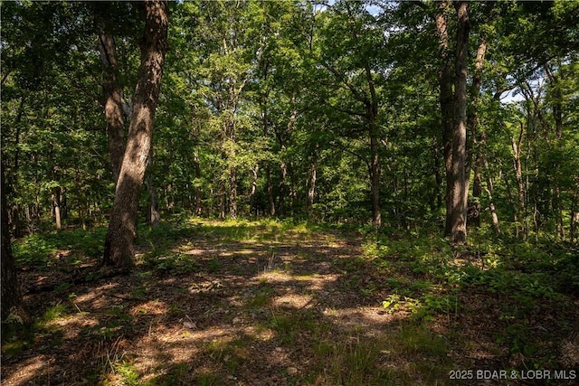 Beechnut, Stover, MO 65078