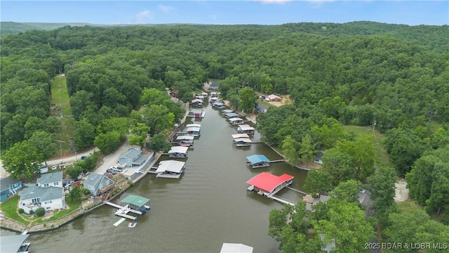 1182 Purvis Rd, Sunrise Beach, MO 65079 - photo 26