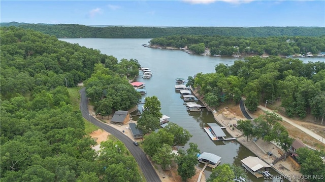 1182 Purvis Rd, Sunrise Beach, MO 65079 - photo 27