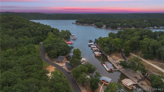 1182 Purvis Rd, Sunrise Beach, MO 65079 - photo 21