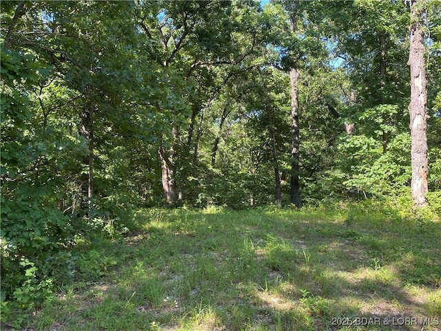 TBD Peter Pan Dr, Versailles, MO 65082