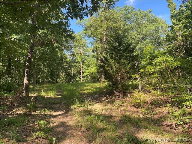 TBD Peter Pan Dr, Versailles, MO 65082