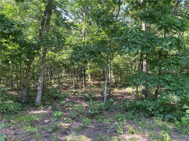 TBD Peter Pan Dr, Versailles, MO 65082