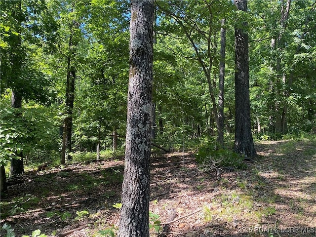 TBD Peter Pan Dr, Versailles, MO 65082