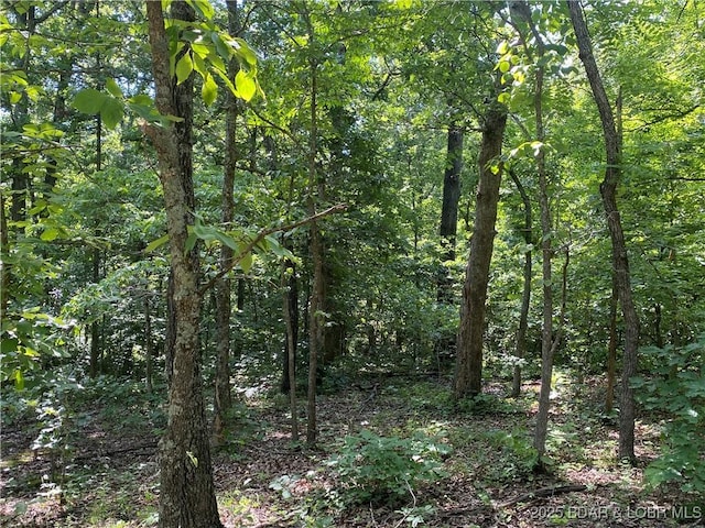 TBD Peter Pan Dr, Versailles, MO 65082