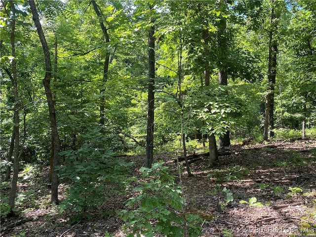 TBD Peter Pan Dr, Versailles, MO 65082