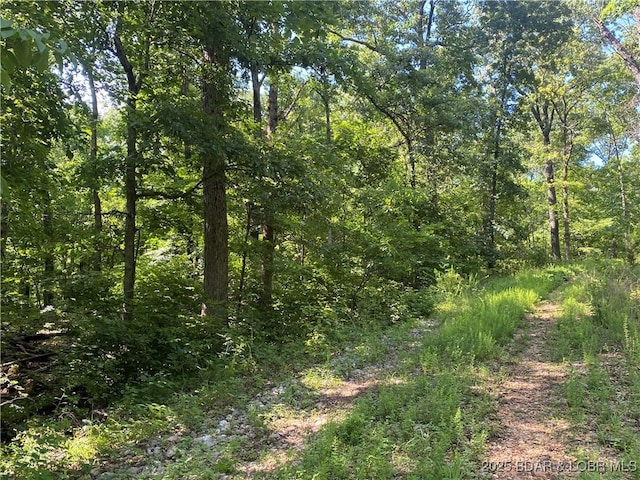 TBD Peter Pan Dr, Versailles, MO 65082
