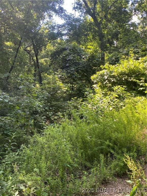 TBD Peter Pan Dr, Versailles, MO 65082
