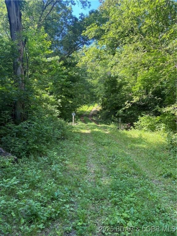 TBD Peter Pan Dr, Versailles, MO 65082