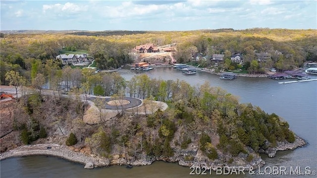 504 Forest Trce, Sunrise Beach, MO 65079 - photo 5