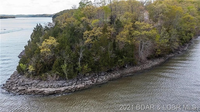 504 Forest Trce, Sunrise Beach, MO 65079 - photo 7
