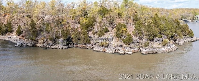 504 Forest Trce, Sunrise Beach, MO 65079 - photo 8