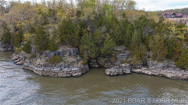 504 Forest Trce, Sunrise Beach, MO 65079 - photo 11