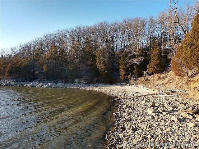 504 Forest Trce, Sunrise Beach, MO 65079 - photo 12