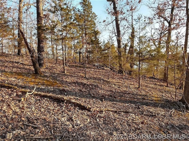 504 Forest Trce, Sunrise Beach, MO 65079 - photo 16