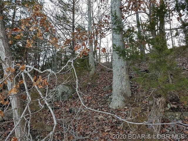 504 Forest Trce, Sunrise Beach, MO 65079 - photo 17