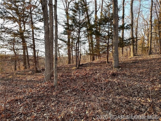 504 Forest Trce, Sunrise Beach, MO 65079 - photo 18