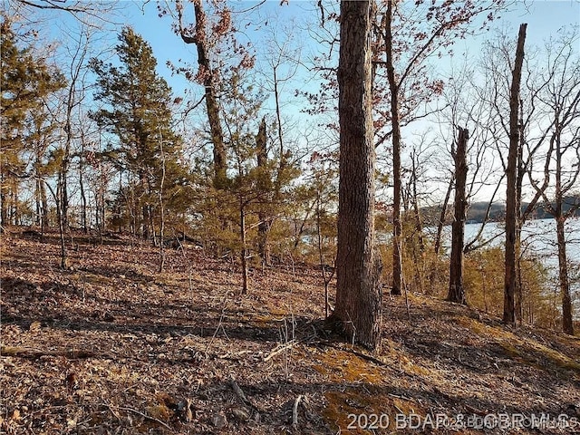504 Forest Trce, Sunrise Beach, MO 65079 - photo 19