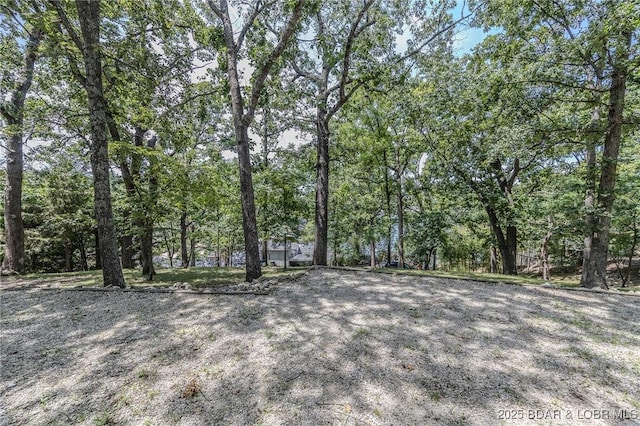 LOT10A Spindrifter Ct, Osage Beach, MO 65065 - photo 5