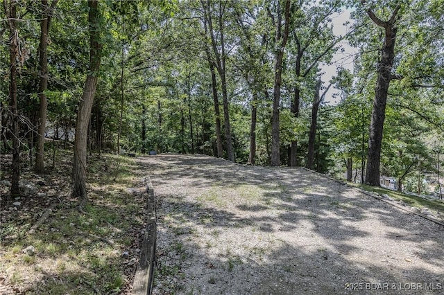 LOT10A Spindrifter Ct, Osage Beach, MO 65065 - photo 6
