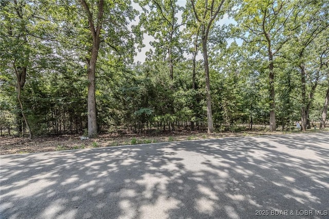LOT10A Spindrifter Ct, Osage Beach, MO 65065 - photo 7