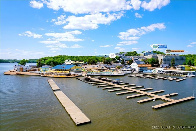 541 Elbow Cay Dr, Osage Beach, MO 65065 - water view featuring a dock
