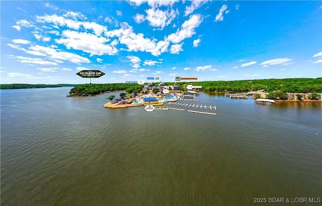 541 Elbow Cay Dr, Osage Beach, MO 65065 - water view