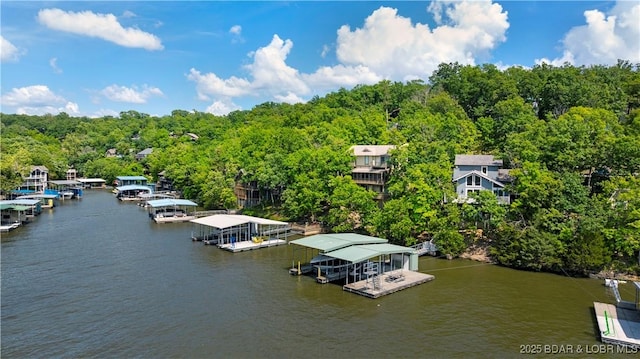 541 Elbow Cay Dr, Osage Beach, MO 65065 - dock area featuring a water view