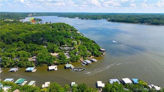 541 Elbow Cay Dr, Osage Beach, MO 65065 - bird's eye view of a large body of water and a forest
